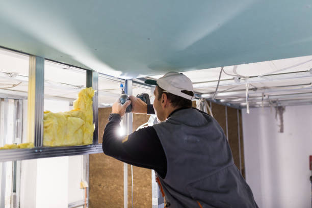 Best Residential Insulation in Baltic, CT